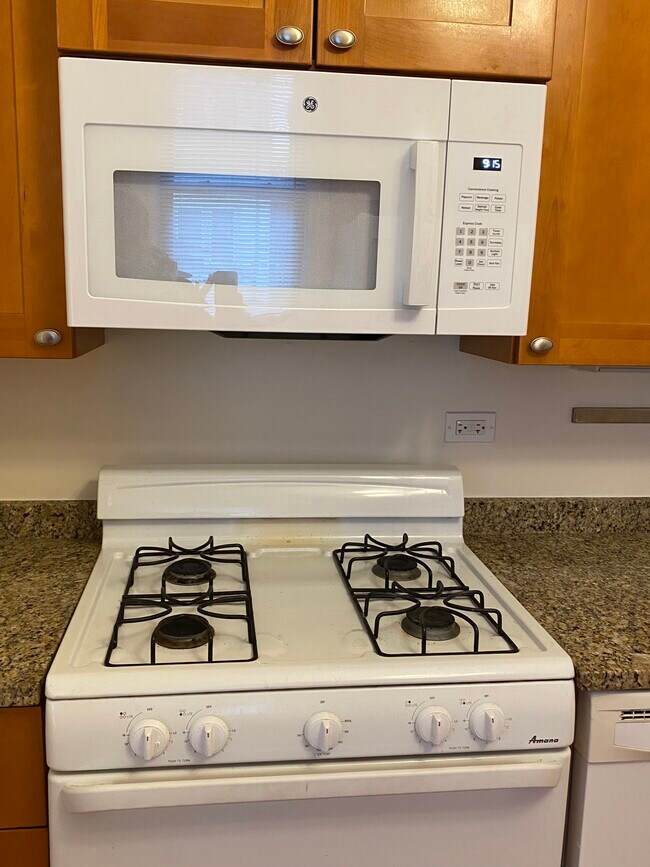 Foto del edificio - 6529 N Lakewood Ave