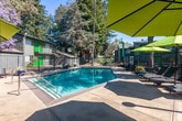 Located at 200 Button St in Santa Cruz, California, this outdoor pool area serves as a central communal amenity, thoughtfully designed for relaxation and recreation. The space is defined by a generously sized swimming pool with crystal-clear blue water, framed by a wide concrete sundeck that offers ample room for lounging and socializing. The deck is furnished with cushioned chaise lounges and seating chairs, complemented by vibrant lime-green market umbrellas that provide shaded retreats throughout the day. The surrounding landscape features mature trees, including a prominent large tree at the pool's edge, along with flowering trees in shades of purple and white that add seasonal color and a natural, park-like atmosphere. The perimeter is enclosed by a combination of metal fencing and wooden fence panels, ensuring privacy and safety. The residential buildings surrounding the pool area are finished in a contemporary dark gray exterior with bold green accent doors and staircases, creating a cohesive and modern aesthetic. The space benefits from abundant natural light under Santa Cruz's characteristically clear blue skies, making it an inviting outdoor destination throughout the year.