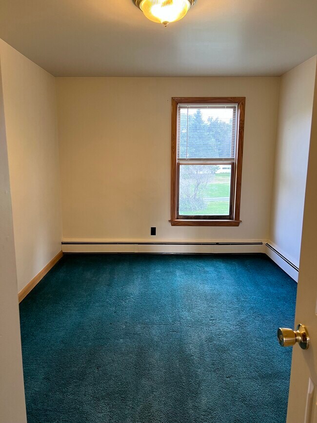 The green rug is now gray flooring - 790 S Barre Rd