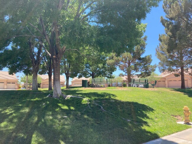 Building Photo - Summerlin One-story, 3 bedroom, pool home