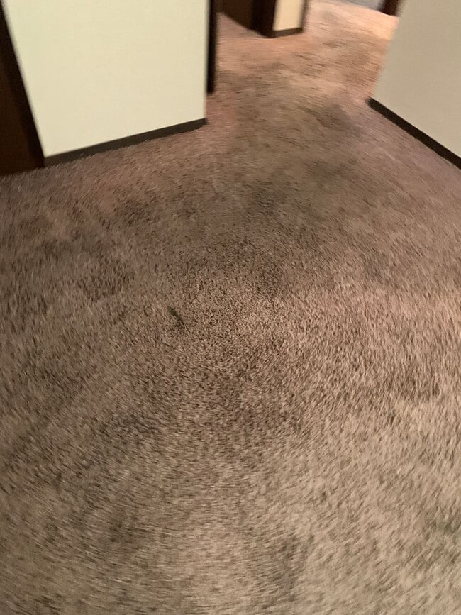 Foto del edificio - 405 3rd Ave SW