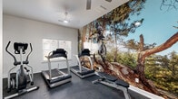 Located at 1603 W Walnut St in Rogers, Arkansas, this single-room fitness space is efficiently designed to deliver a fully functional workout environment. The room is finished with durable dark rubber flooring throughout, providing a practical and resilient surface suited for exercise equipment and high-activity use. A ceiling fan overhead ensures airflow and comfort during workouts.

The standout design element is a dramatic, floor-to-ceiling photographic mural depicting a mountain biker mid-air on a rocky trail surrounded by tall pines — a bold visual feature that energizes the space and reflects an active lifestyle ethos. A large wall mirror on the adjacent side amplifies the sense of space and allows for form monitoring during exercise.

The room is equipped with multiple True-brand treadmills, an elliptical machine, and a weight bench, offering a well-rounded selection of cardio and strength equipment. Natural light enters through a double-hung window fitted with blinds, brightening the space without compromising privacy. A glazed door with frosted panels provides access to an adjacent area, and a wall-mounted screen near the entry adds a functional media element. The clean white walls and white baseboards give the space a crisp, organized appearance that keeps the focus on fitness.