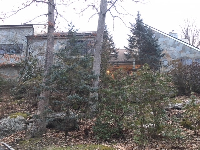 Foto del edificio - 9 Surrey Rd
