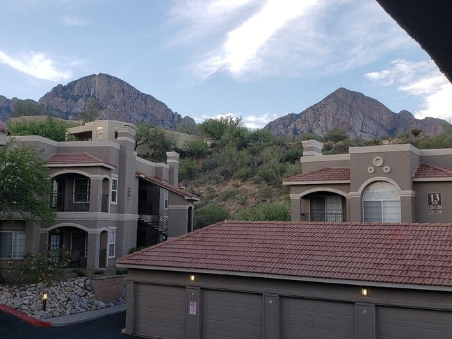 Foto del edificio - 1500 E Pusch Wilderness Dr