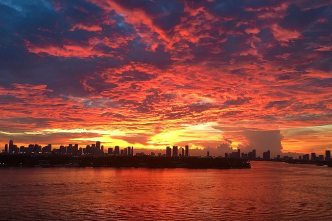 Skyline Sunset - 1500 Bay Rd