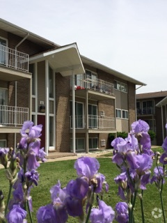 Building Photo - Village Shore Apartments