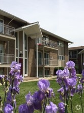 Building Photo - Village Shore Apartments