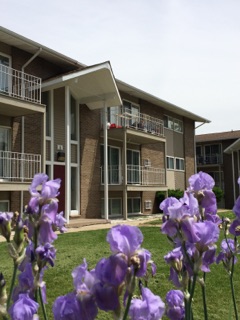 Primary Photo - Village Shore Apartments