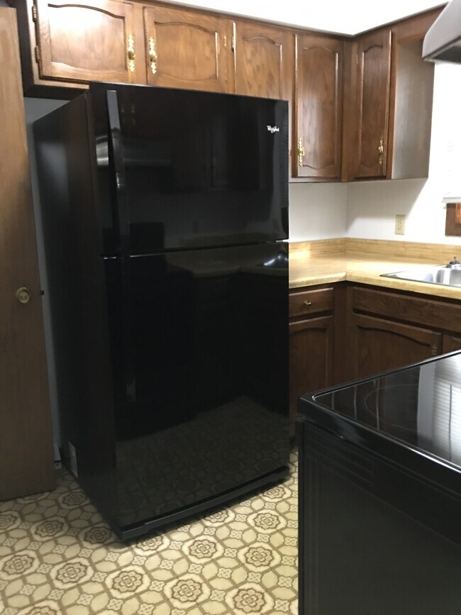 black refrigerator - 3041 Sunburst Dr