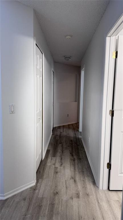 Building Photo - 1804 Palmetto Pine Ln