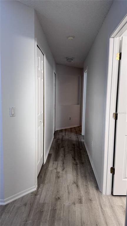 Foto del edificio - 1804 Palmetto Pine Ln