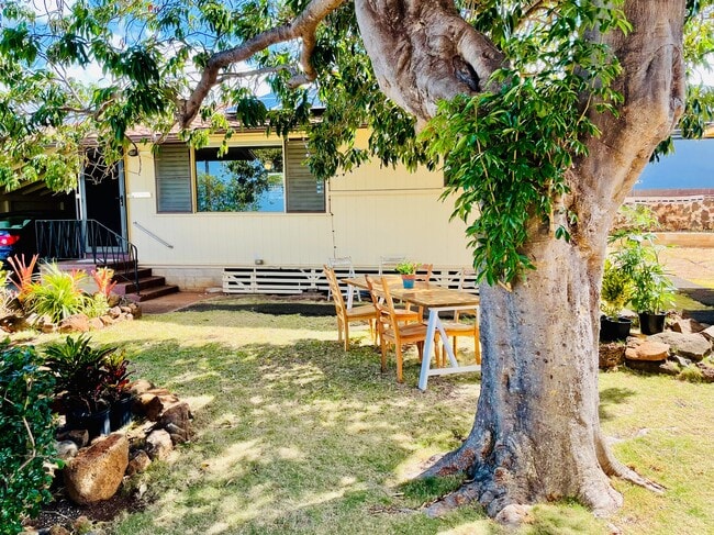 Front yard with lychee tree - 631 10th Ave
