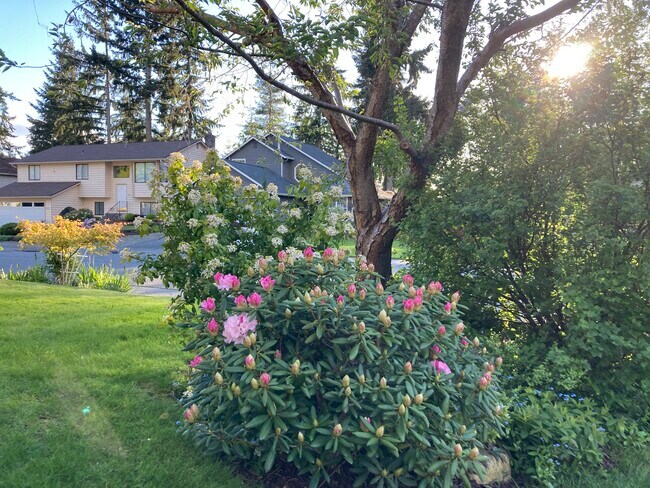front flowers - 14217 55th Ave SE