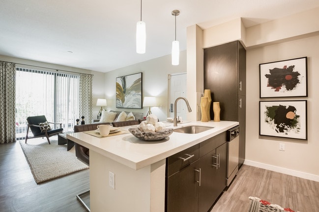 Modern espresso cabinetry with brushed nickel hardware - Mirador at Doral by Windsor