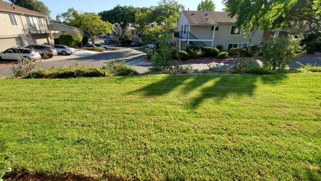Foto del edificio - 7844 Camino Huerta