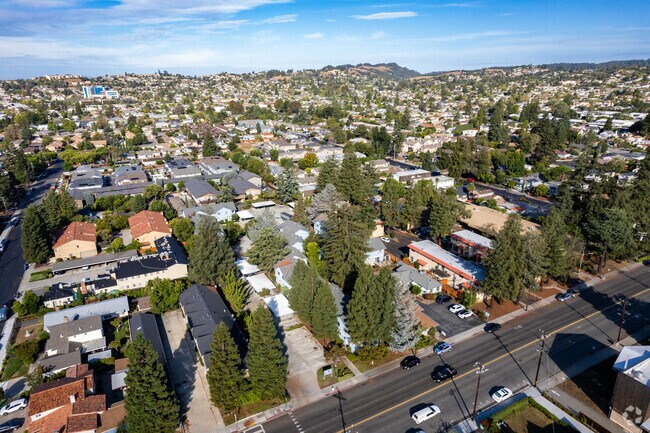 Aerial Photo - Redwood Glen
