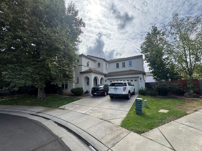 Foto del edificio - 5 Bed / 3.5 Bath | Elk Grove Single Family...