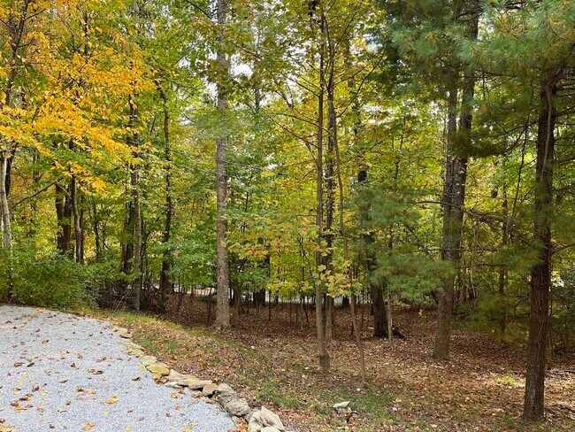 Building Photo - 3406 Laurel Park Hwy-Newly renovated cotta...