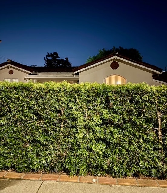 Building Photo - 2620 Graham Ave