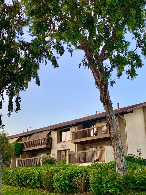 Building Photo - 25865 Marguerite Pkwy