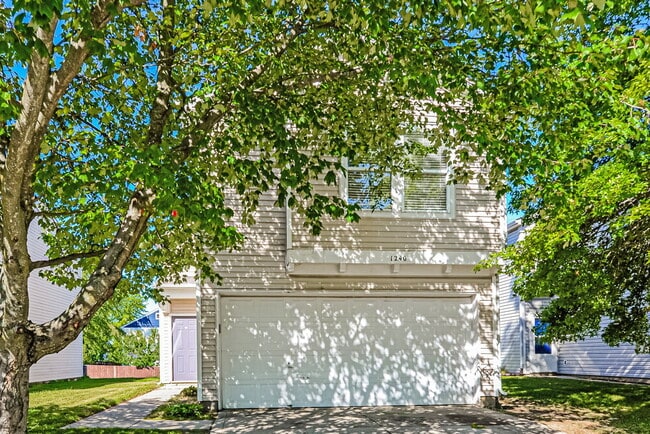 Building Photo - 1240 Cutler Ln