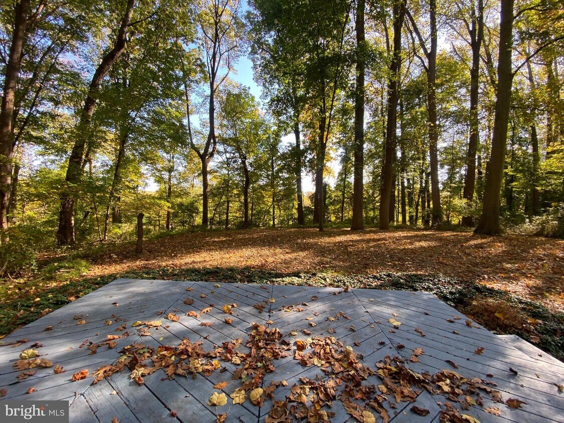 Foto principal - 119 Stoney Ridge Rd