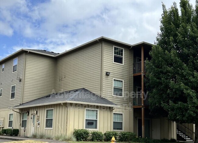 Foto del edificio - 523 Catron St N