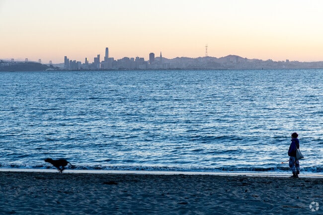 Dog lovers end their day at Albany Beach.