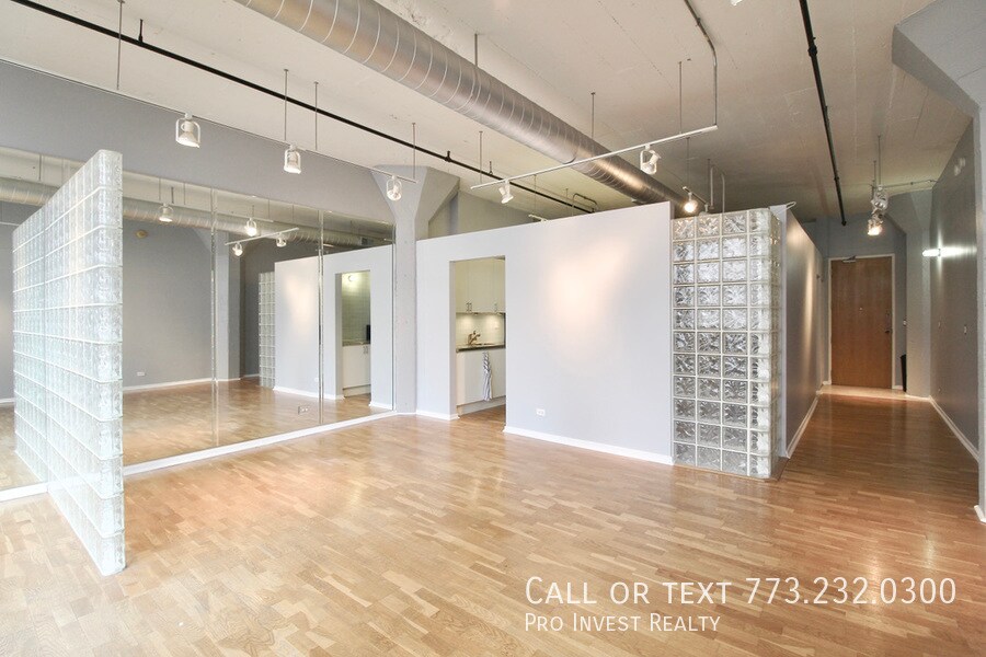 XL, UPDATED, PRINTERS ROW LOFT Condo for Rent in Chicago, IL