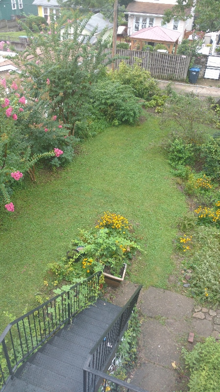 Photo - 6416 2nd Pl NW Apartment