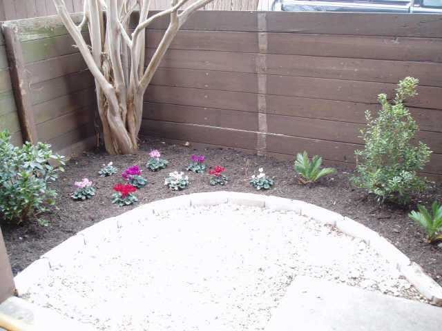 Foto del edificio - 4409 W Guadalupe St