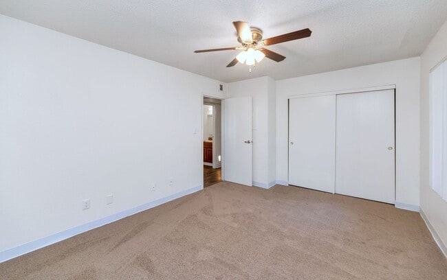 Interior Photo - Sahara and Playa Palms