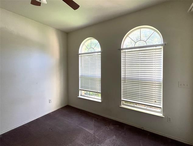 Foto del edificio - 4316 Cutter Springs Ct