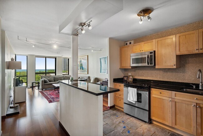 Kitchen from entry - 1660 N LaSalle St