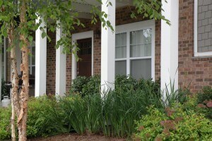 Foto del edificio - Summit #1012 - End Unit! - PRELEASING FOR AUGUST 2026!