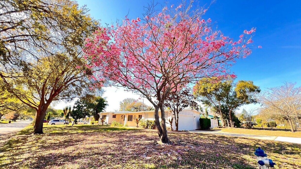 Primary Photo - 1516 Dove Dr