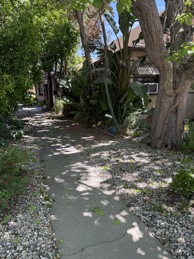 Primary Photo - 10907 Camarillo St