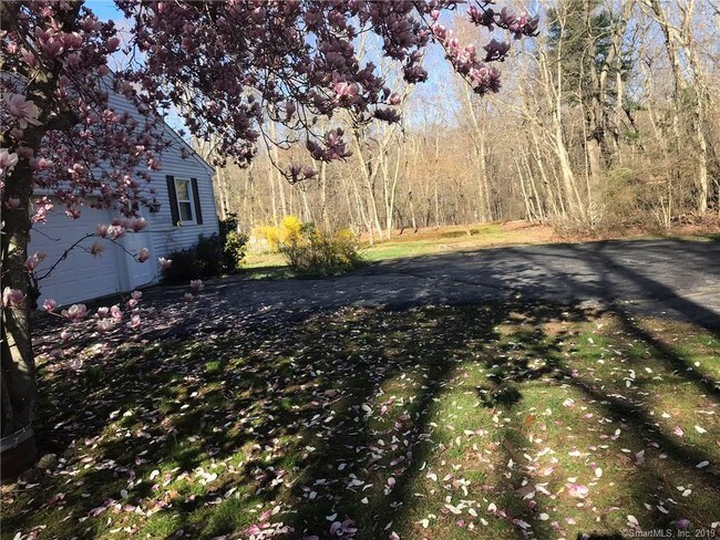 Foto del edificio - 346 E Shore Dr