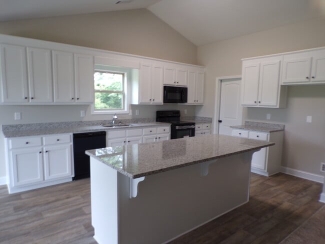 kitchen - 938 River Mist Cir