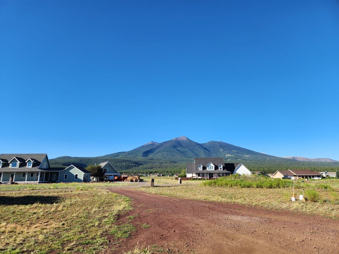 Primary Photo - Stunning Fort Valley home AVAILABLE NOW!