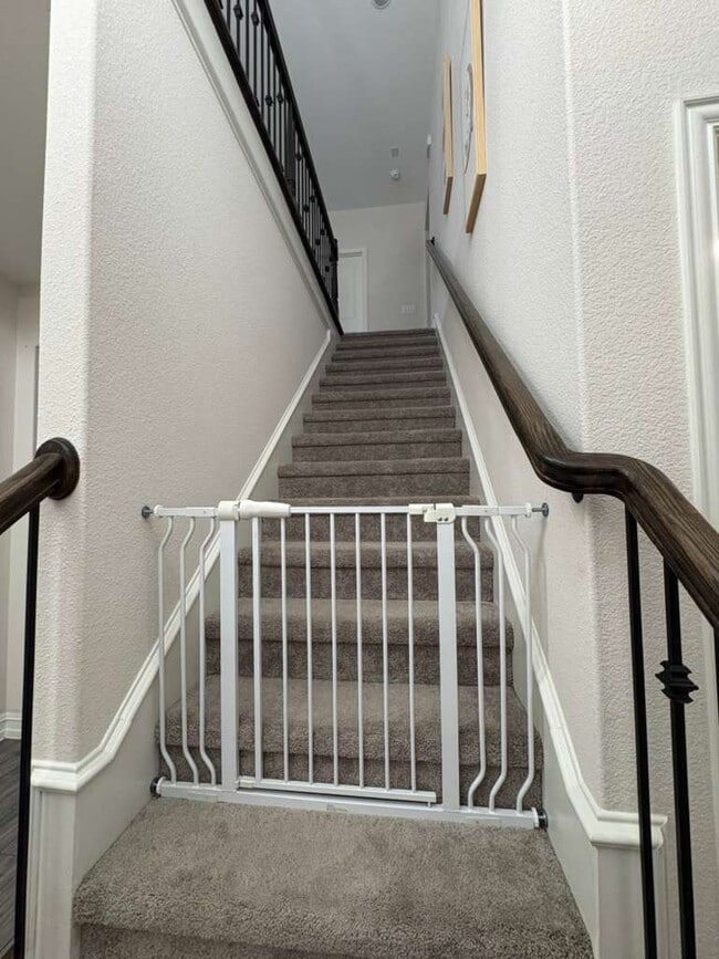 Foto del edificio - 609 Cattle Chute Ct