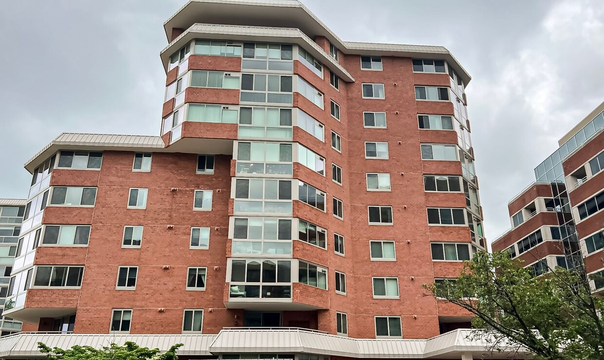 Primary Photo - Amazing 1 Bedroom 1 Bathroom Condo With Su...