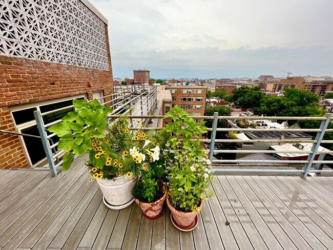Foto del edificio - Cute 1 BR/1 BA Condo in Dupont Circle!