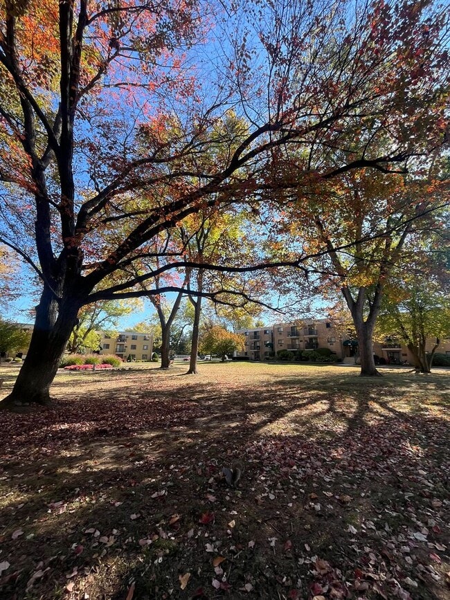 Building Photo - 1 Bd / 1 Bth Warminster Condo