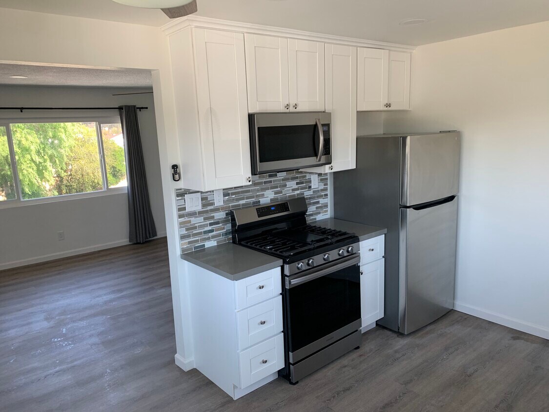 New gourmet kitchen - 529 Ann St