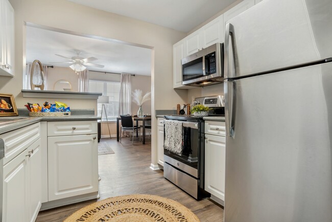 Modern Kitchen with Pass-Through Counter and Stainless-Style Appliances - Theater Street Apartments