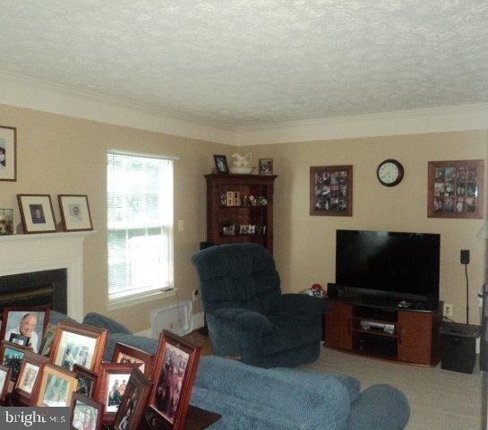 Foto del edificio - 411 Park Cove Dr