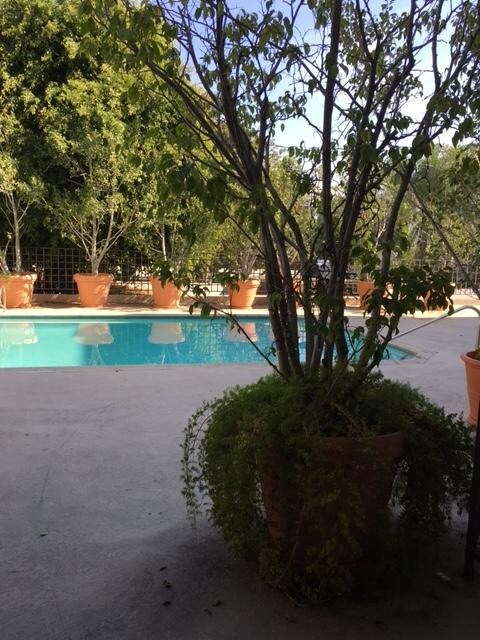 Foto del edificio - 884 Palm Ave