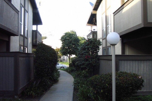 walk way - 812 Coriander Dr