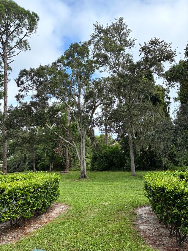 View from back windows, door - 3038 Eastland Blvd